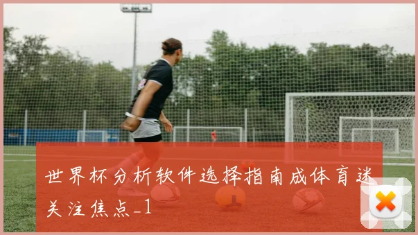 世界杯分析软件选择指南成体育迷关注焦点_1