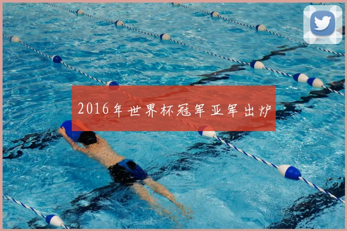 2016年世界杯冠军亚军出炉