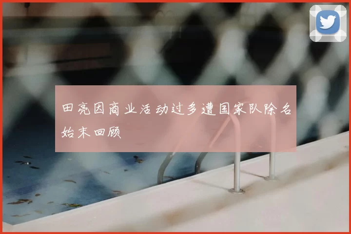 田亮因商业活动过多遭国家队除名始末回顾