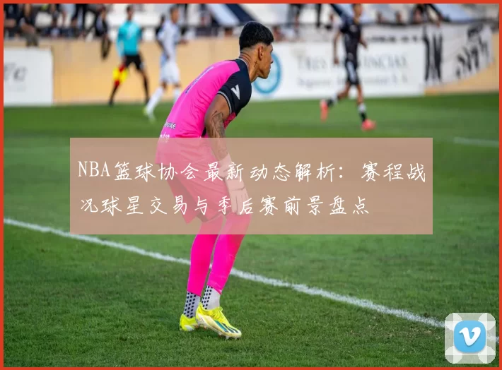 NBA篮球协会最新动态解析：赛程战况球星交易与季后赛前景盘点