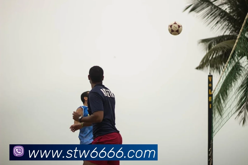 星空网手机官网入口APP 封面图